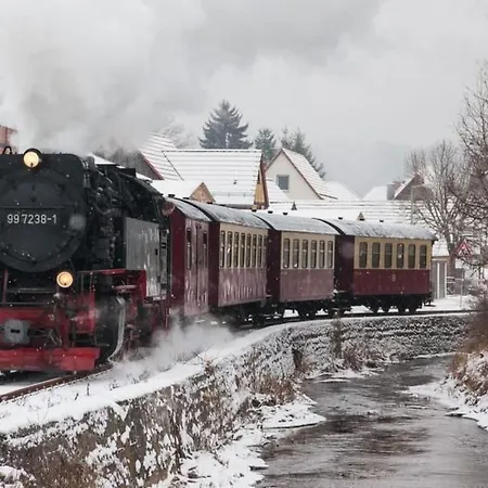 Dom wakacyjny Mit Vielen Freizeitmoeglichkeiten By Interhome Harzgerode