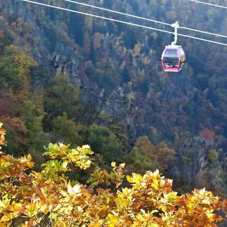 Mit Vielen Freizeitmoeglichkeiten By Interhome *