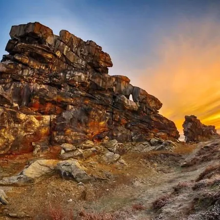 Mit Vielen Freizeitmoeglichkeiten By Interhome * 哈尔茨格罗德