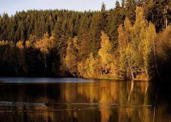 Mit Vielen Freizeitmoeglichkeiten By Interhome 度假居 哈尔茨格罗德