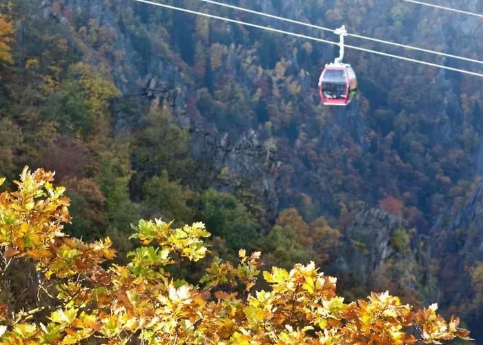 Mit Vielen Freizeitmoeglichkeiten By Interhome *